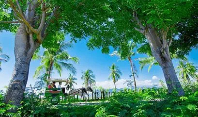 Horse Cart at The Oberoi Beach Resort Lombok