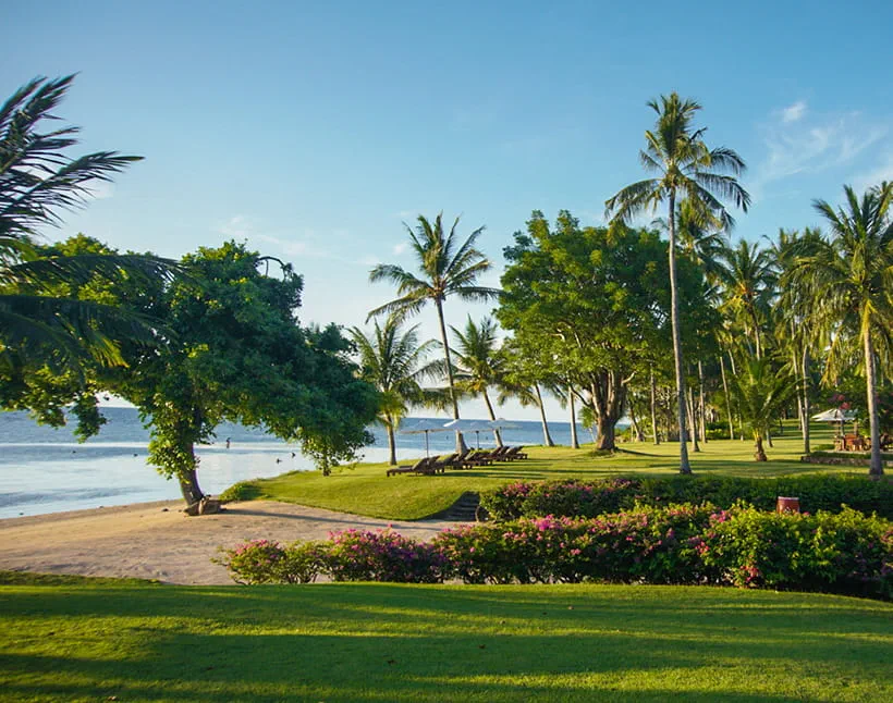 Palm trees and loungers at The Oberoi Beach Resort, Lombok. Palm trees and loungers at The Oberoi Beach Resort, Lombok.
