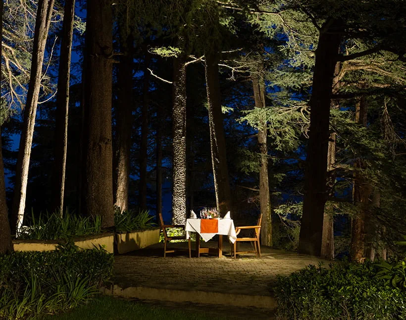 Cozy outdoor dining at The Oberoi Sukhvilas, surrounded by forest trees. Cozy outdoor dining at The Oberoi Sukhvilas, surrounded by forest trees.